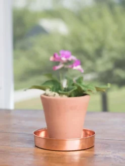 Extra Small Round Copper Plant Tray, 8" -Deals The Garden & Yard Store 8593528 4522 tif