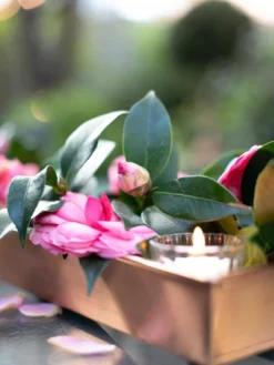 Rectangular Copper Plant Tray, 18"x4" -Deals The Garden & Yard Store 8593532 02IN tif