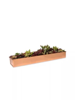 Rectangular Copper Plant Tray, 18"x4" -Deals The Garden & Yard Store 8593532 2892 tif