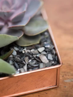 Rectangular Copper Plant Tray, 24" X 5" -Deals The Garden & Yard Store 8593533 4570 tif