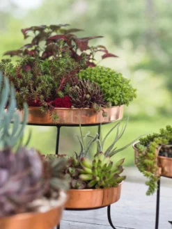 Small Round Copper Plant Tray, 10" -Deals The Garden & Yard Store 8593564 4399 tif