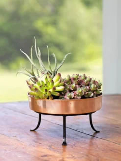 Extra Small Round Copper Plant Tray, 8" -Deals The Garden & Yard Store 8593564 4641 001E tif