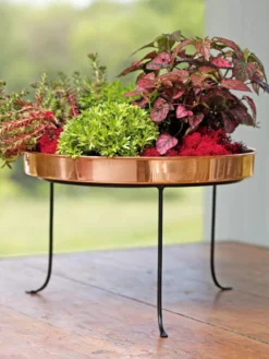 Large Round Copper Plant Tray, 14" -Deals The Garden & Yard Store 8593567 4636 tif