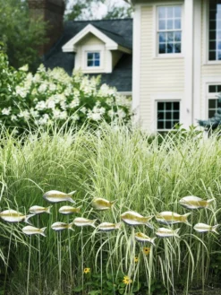 Fish Out Of Water Garden Stakes, Set Of 5 -Deals The Garden & Yard Store 8593672 9124 tif