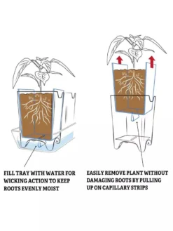 Pop-Out Pots, Set Of 4 -Deals The Garden & Yard Store 8593943 2