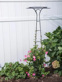 Essex Tuteur, 63" -Deals The Garden & Yard Store 8594162 0023 tif