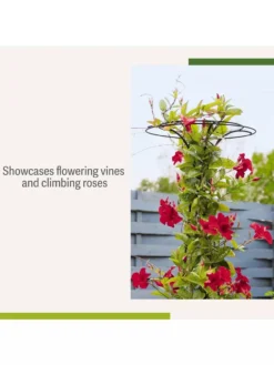 Essex Tuteur, 63" -Deals The Garden & Yard Store 8594162 4