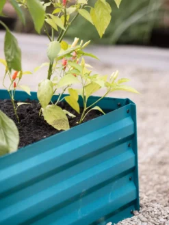 Demeter Corrugated Metal Raised Bed, 34" X 68" -Deals The Garden & Yard Store 8594183 470 tif 1