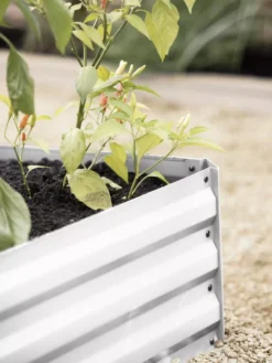 Demeter Corrugated Metal Raised Bed, 34" X 68" -Deals The Garden & Yard Store 8594183 570 tif 1