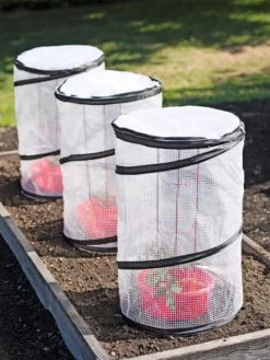 Tomato TLC Kits, Set Of 3