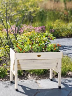Compact VegTrug® Patio Garden -Deals The Garden & Yard Store 8594232 1196 tif