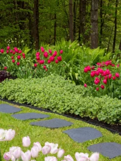 Recycled Rubber Flagstone Stepping Stone -Deals The Garden & Yard Store 8594282 518 tif