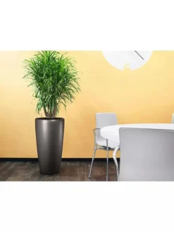 Lechuza® Rondo Self-Watering Planters -Deals The Garden & Yard Store 8594586 02V tif