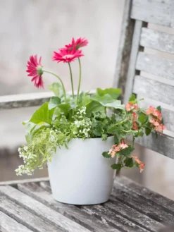 Viva Round Self-Watering Planter, 7" Diameter -Deals The Garden & Yard Store 8595222 1139 tif