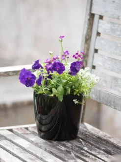 Viva Round Self-Watering Planter, 7" Diameter -Deals The Garden & Yard Store 8595222 1140 tif