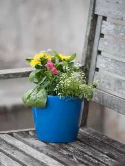 Viva Round Self-Watering Planter, 7" Diameter -Deals The Garden & Yard Store 8595222 1143 tif