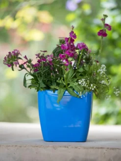 Viva Square Self-Watering Planter, 7" Diameter -Deals The Garden & Yard Store 8595223 1113 tif