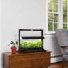 LED SunLite® Compact Tabletop Garden
