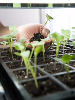 LED Stack-n-Grow Lights - Base Unit -Deals The Garden & Yard Store 8595770 7373 tif