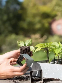 Galvanized Seed Starting Tray -Deals The Garden & Yard Store 8595893 4382 tif