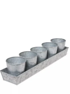 Galvanized Herb Planters With Rectangular Tray 7 Galvanized Herb Planters With Rectangular Tray -Deals The Garden & Yard Store 8595903 3924 tif