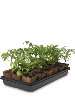 3-1/2” Square Biodegradable Pots & Tray Set -Deals The Garden & Yard Store 8595968 3916 tif