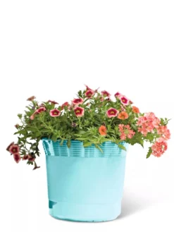 Eezy Gro Self-Watering Planters -Deals The Garden & Yard Store 8596426 103 tif