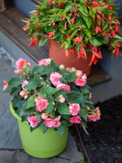 Eezy Gro Self-Watering Planters -Deals The Garden & Yard Store 8596427 0034 tif