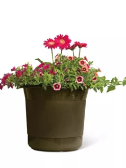 Eezy Gro Self-Watering Planters -Deals The Garden & Yard Store 8596427 108 tif