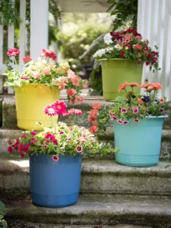 Eezy Gro Self-Watering Planters -Deals The Garden & Yard Store 8596427 8090 tif