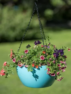 Viva Self-Watering Hanging Basket, 14" Diameter -Deals The Garden & Yard Store 8596442 0859 tif