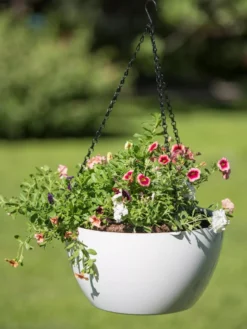Viva Self-Watering Hanging Basket, 14" Diameter -Deals The Garden & Yard Store 8596442 0864 tif