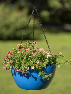 Viva Self-Watering Hanging Basket, 14" Diameter -Deals The Garden & Yard Store 8596442 0876 tif