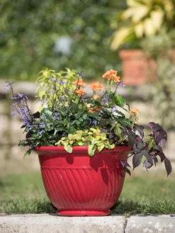 Mazzano Self-Watering Planters -Deals The Garden & Yard Store 8596564 4883 tif