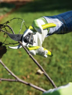 Gardener's Pro Pruner #2 -Deals The Garden & Yard Store 8596605 032 tif