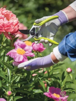 Gardener's Pro Pruner #2 -Deals The Garden & Yard Store 8596605 1261 tif