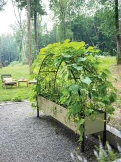 Self-Watering Elevated Planter Box, 2' X 8' -Deals The Garden & Yard Store 8596760 0046 tif