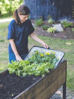 Pop-Up Crop Protector -Deals The Garden & Yard Store 8596763 EasyCropProtector gif