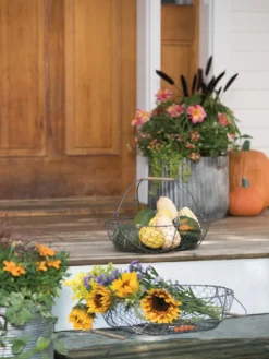 Galvanized Rim Planters 9 Galvanized Rim Planters -Deals The Garden & Yard Store 8597379 1625 tif