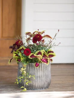 Galvanized Ribbed Planters -Deals The Garden & Yard Store 8597435 1693 tif