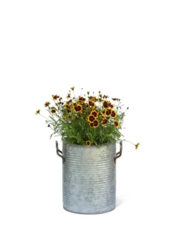 Galvanized Rim Planters 10 Galvanized Rim Planters -Deals The Garden & Yard Store 8597442 1705 tif