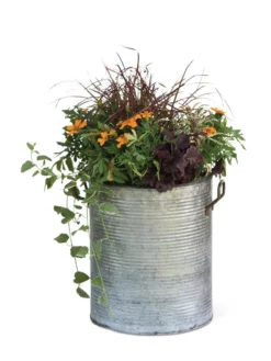 Galvanized Rim Planters 11 Galvanized Rim Planters -Deals The Garden & Yard Store 8597443 1704 tif