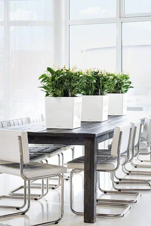 Lechuza® Cube Premium Planters 1 Lechuza® Cube Premium Planters