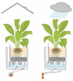 Lechuza® Cube Premium Planters 9 Lechuza® Cube Premium Planters -Deals The Garden & Yard Store 8597506 05V tif