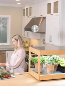 Low Bamboo LED Grow Light Garden -Deals The Garden & Yard Store 8597720 0816 tif