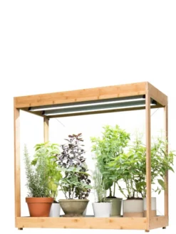 Medium Bamboo LED Grow Light Garden -Deals The Garden & Yard Store 8597883 1011 tif