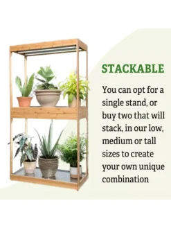 Medium Bamboo LED Grow Light Garden -Deals The Garden & Yard Store 8597883 6