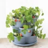 Stacking Strawberry Pot