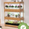 Bamboo LED Grow Light Garden For Succulents And Seeds