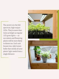 Bamboo LED Grow Light Garden For Succulents And Seeds -Deals The Garden & Yard Store 8598084 7